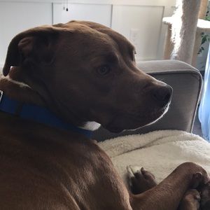 Meet your Posher, Erin